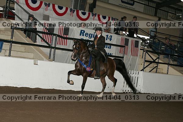 Proof Number r14-04_0313